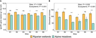 Soil diazotrophic abundance, diversity, and community assembly mechanisms significantly differ between glacier riparian wetlands and their adjacent alpine meadows